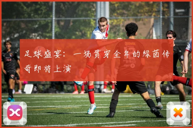 足球盛宴：一场贯穿全年的绿茵传奇即将上演